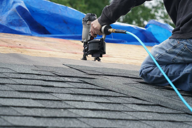 Best Storm Damage Roof Repair  in Guntown, MS