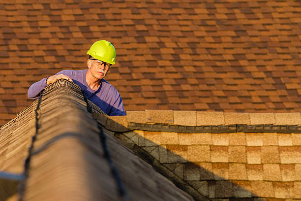 Best Gutter Installation and Roofing  in Guntown, MS