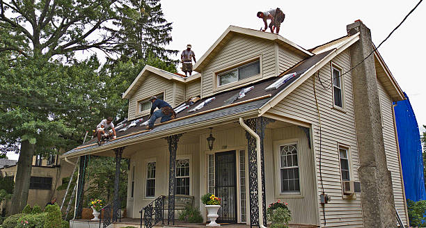 Best Residential Roof Replacement  in Guntown, MS