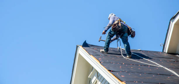 Best Local Roofing Companies  in Guntown, MS